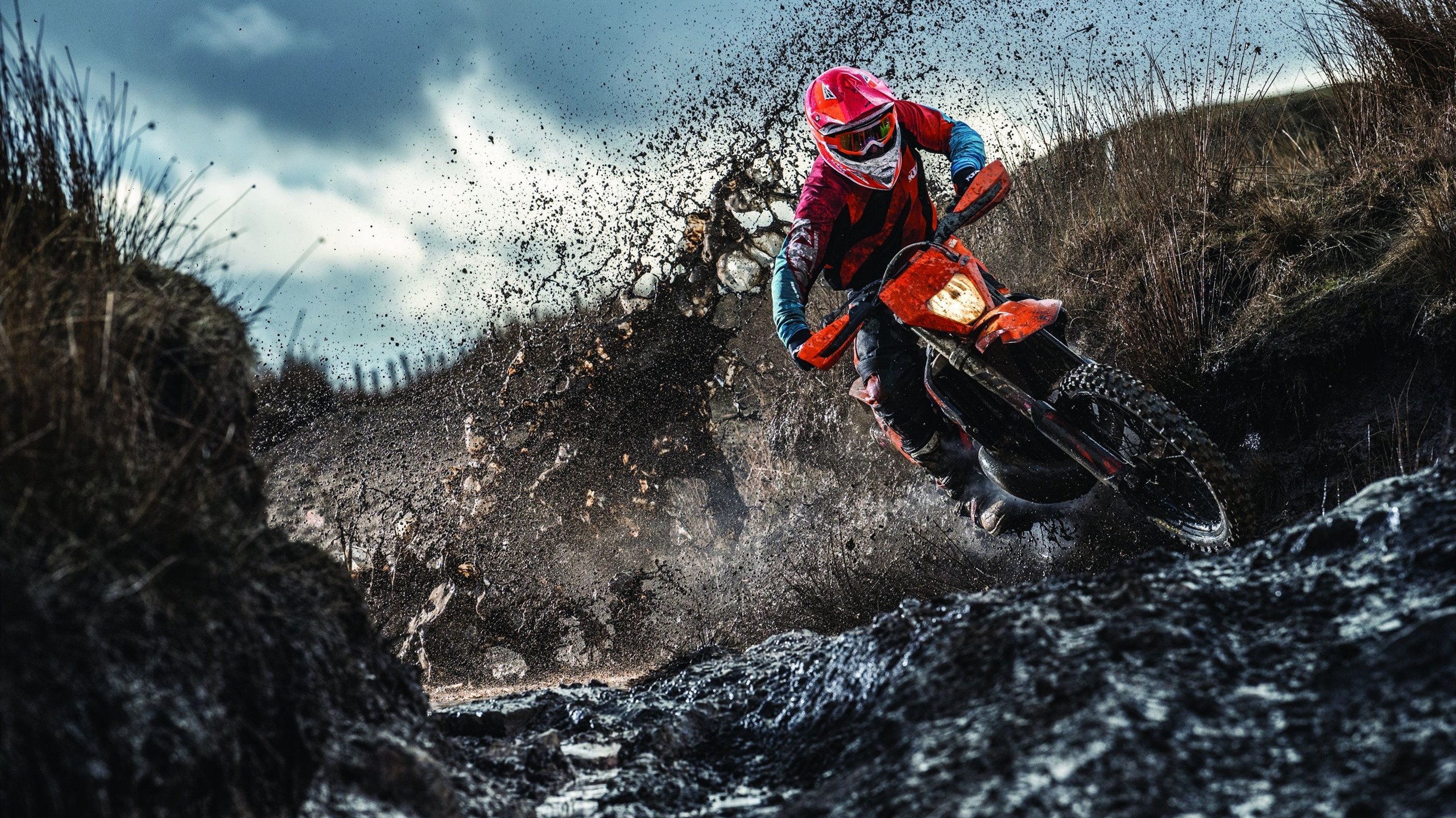 开云全站下载-体育教育与科技融合实验课荣获教学创新奖，体育和教育融合